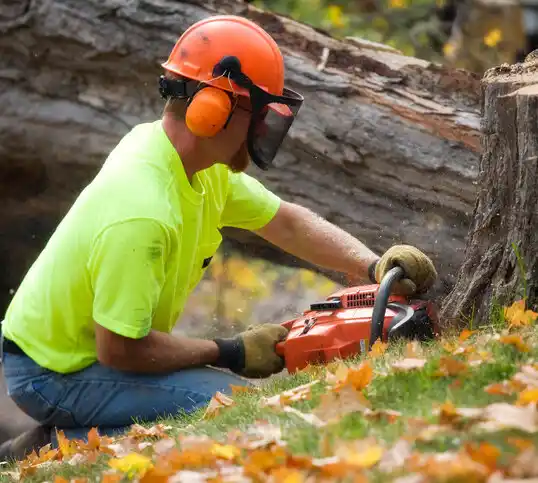 tree services Osyka